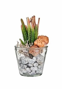 BELLA MAISON Terrarium Dekorative In Klar