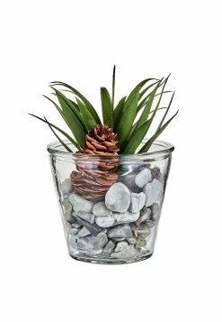 BELLA MAISON Terrarium In Klar