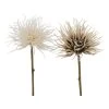 Boltze 2er-Set: Dekoblumen "Blumen & Blüten" In Beige/ Creme