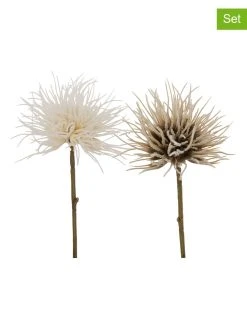 Boltze 2er-Set: Dekoblumen "Blumen & Blüten" In Beige/ Creme