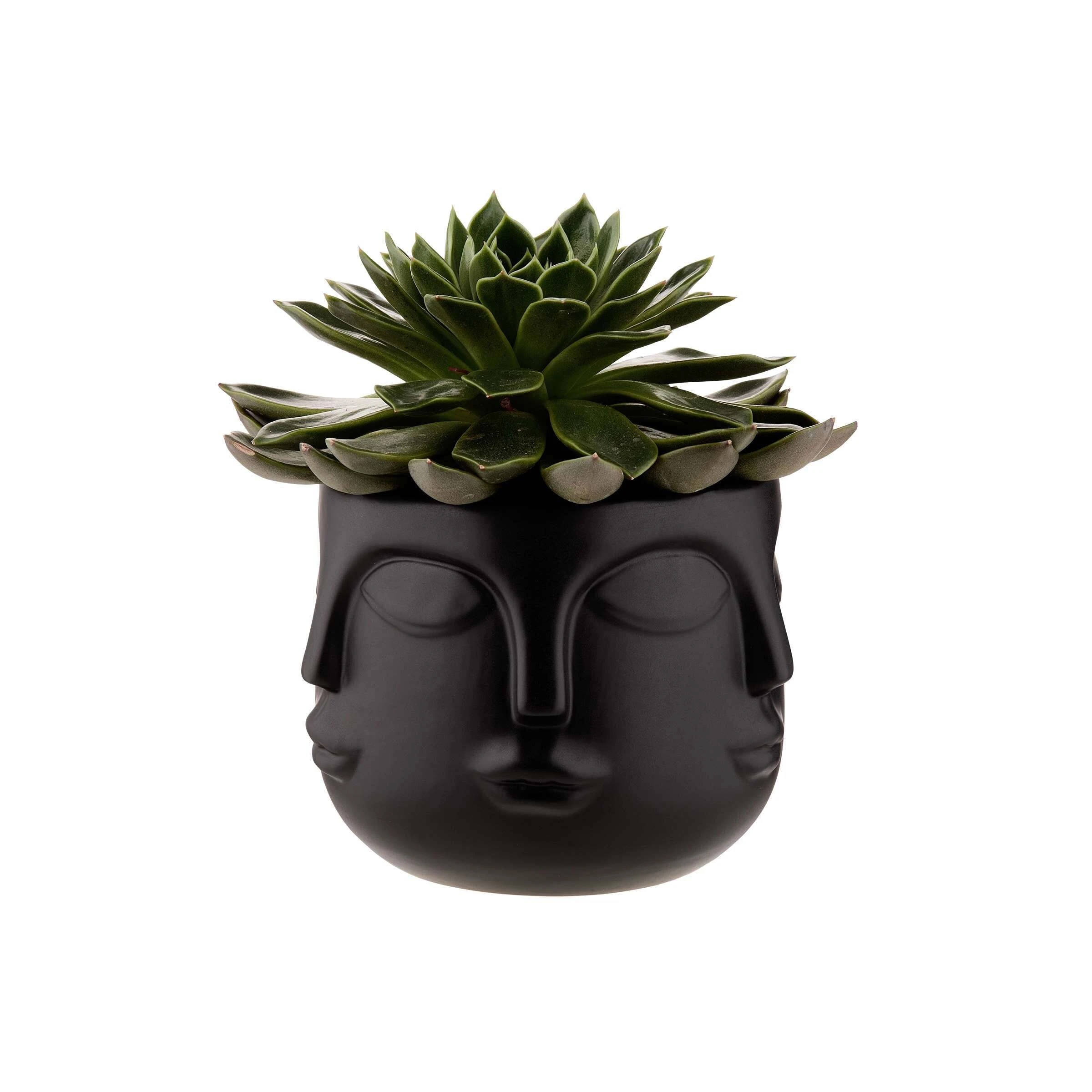 Butlers Blumentopf Gesichter Ø13cm ARTIST In Schwarz – Bild 3