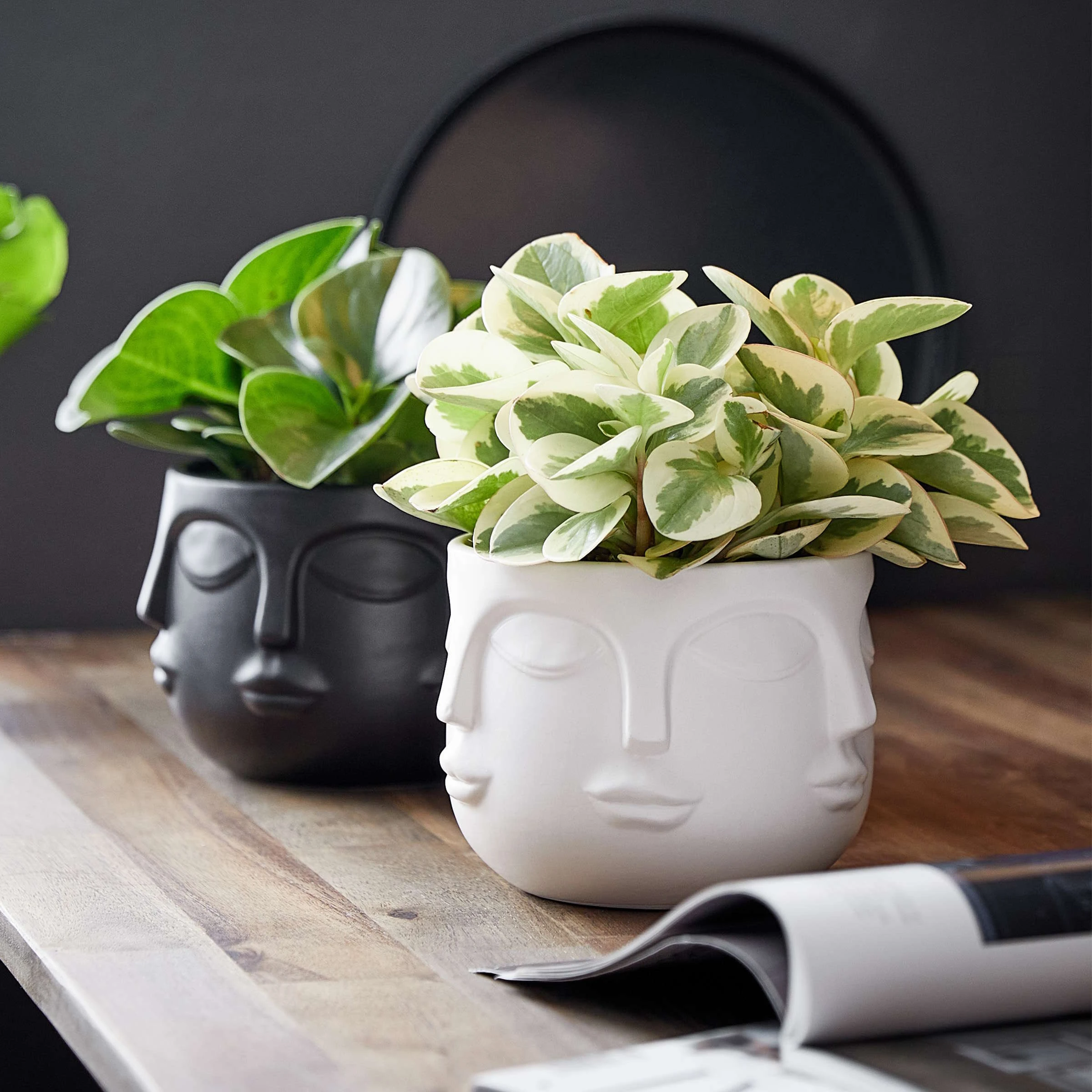 Butlers Blumentopf Gesichter Ø13cm ARTIST In Weiß – Bild 2