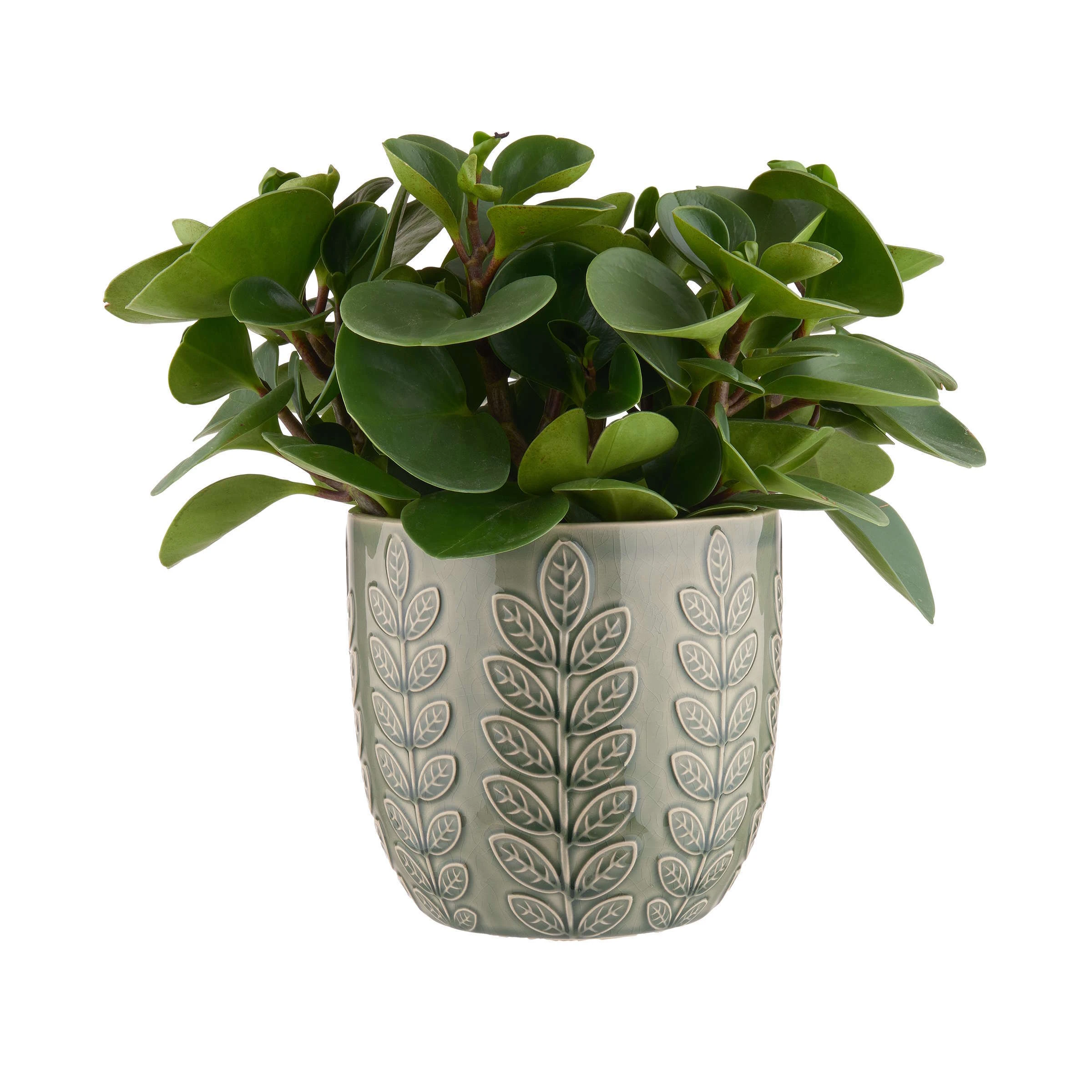 Butlers Blumentopf Ø18cm LEAVES In Grün – Bild 2