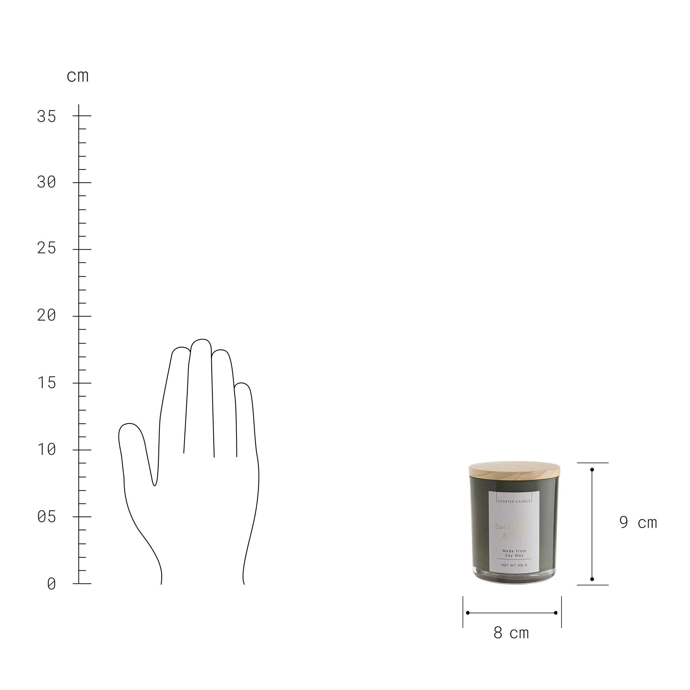 Butlers Duftkerze Eucalyptus & Pine Mit Sojawachs SCENTED CANDLE In Dunkelgrün – Bild 3