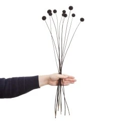 Butlers Trockenblumen Craspedia Länge 70cm FLOWER MARKET In Schwarz