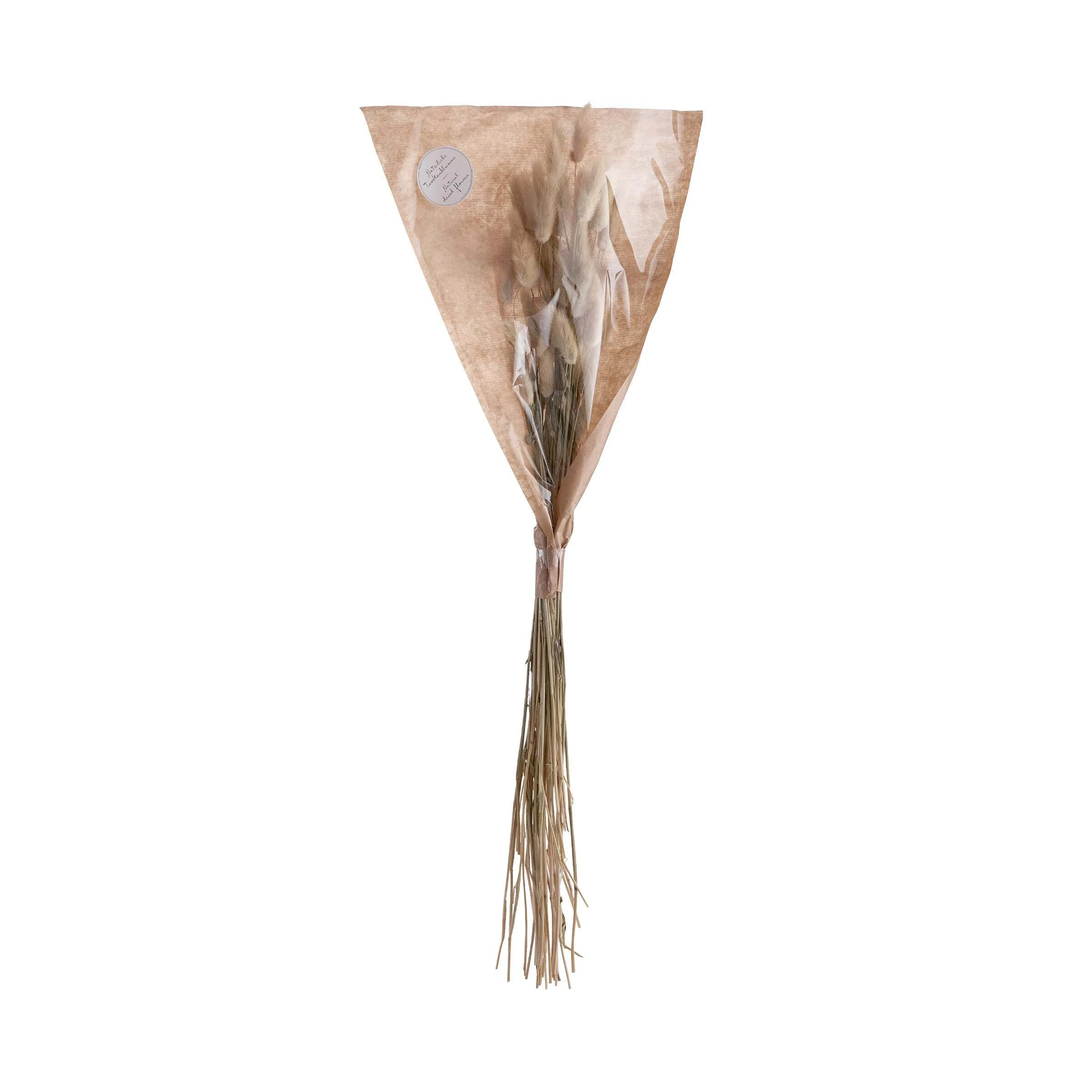 Butlers Trockenblumen Lagurusgras Länge 70cm FLOWER MARKET In Natur – Bild 4