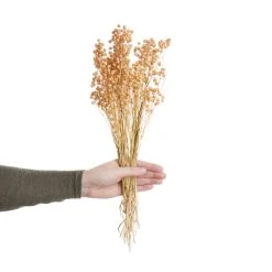 Butlers Trockenblumen Linium Länge 50cm FLOWER MARKET In Pastellorange