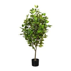 Creativ Green Deko-Pflanze Ficus Benjamini In Grün