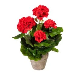 Creativ Green Deko-Pflanze Geranienbusch In Rot