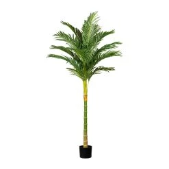 Creativ Green Deko-Pflanze Kentiapalme In Grün