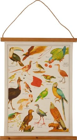 Die Spiegelburg Historische Bildtafel Illustrierte Tierwelt (ca. 45x60 Cm)