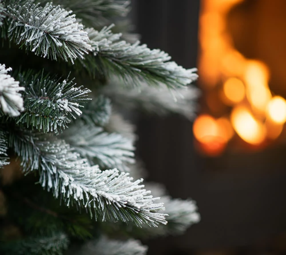 Evergreen Weihnachtsbaum Cedar Kiefer Frost In Weiß - 114x114x210cm – Bild 8