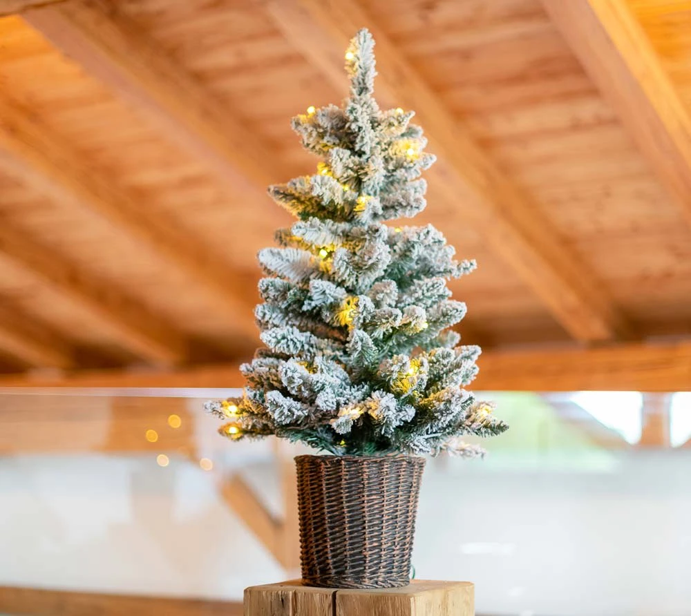 Evergreen Weihnachtsbaum Kiefer Frost In Weiß - 51x51x90cm – Bild 7