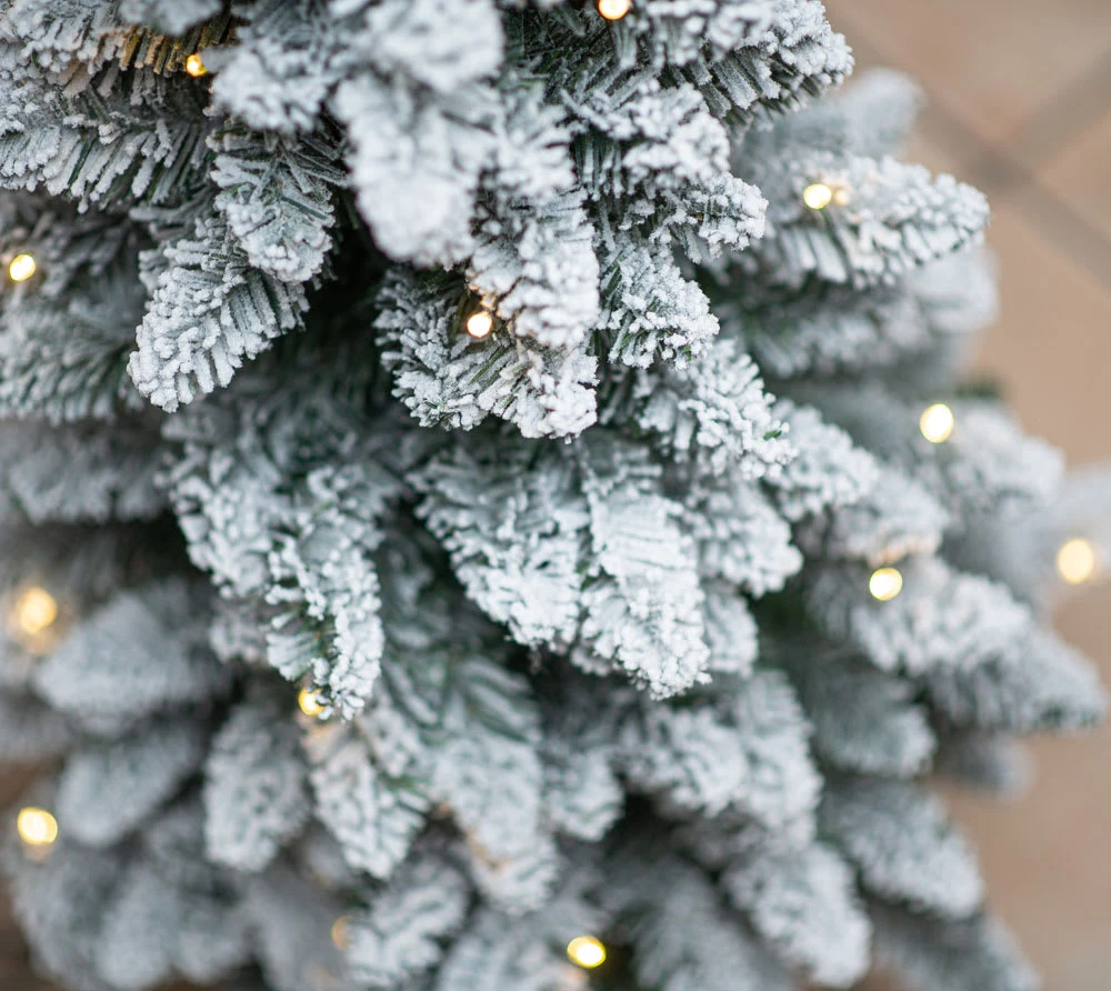 Evergreen Weihnachtsbaum Kiefer In Weiß - 51x51x90cm – Bild 10