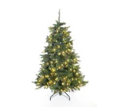 Evergreen Weihnachtsbaum Mesa Fichte In Grün - 119x119x180cm