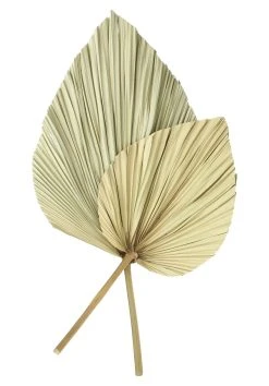 HomeLiving Dekoblatt "Palme" 700 In Beige