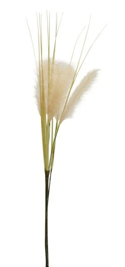 HomeLiving Spar-Set 2x Deko-Bündel "Pampasgras", 115 Cm In Grün