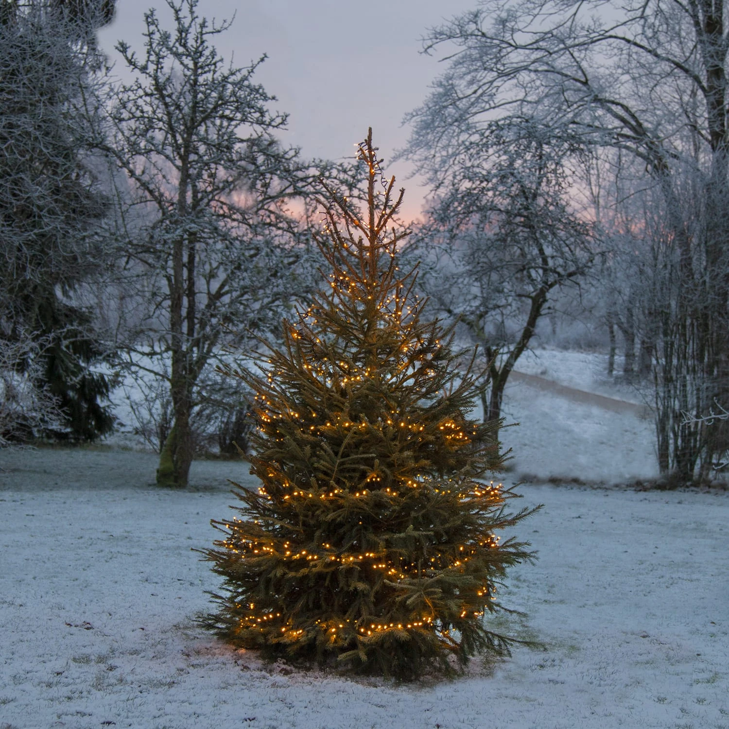 MARELIDA Lichterkette 1200 Bernstein LED 24m In Schwarz – Bild 3