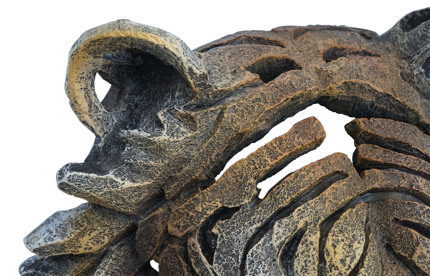 MCW Deko Schädel H41, Tigerkopf 35cm – Bild 6