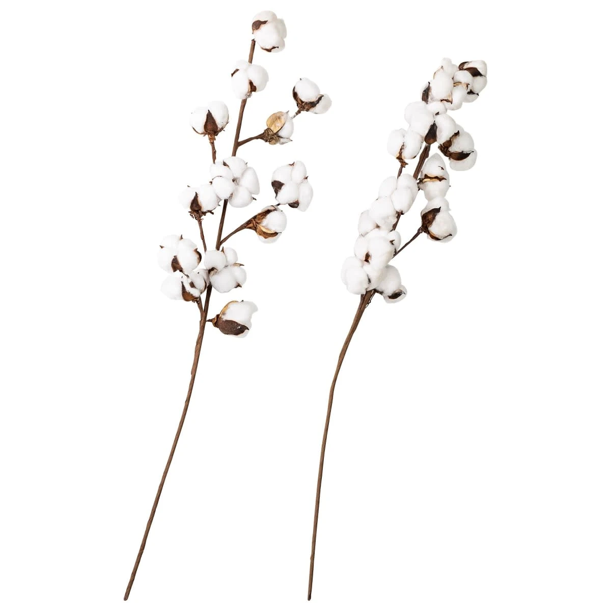 PureDay Deko-Zweige, 2-tlg. Baumwolle, Braun/Weiß – Bild 2