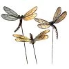 PureDay Gartenstecker-Set, 6-tlg. Libellen