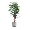 PureDay Kunstpflanze Ficus Benjamini, Grün