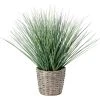 PureDay Kunstpflanze Im Korb Zwiebelgras, Grün