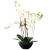 PureDay Kunstpflanze Orchidee Modern, Weiß/Schwarz