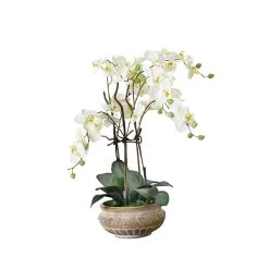 PureDay Kunstpflanze Orchideentopf Antik, Weiß