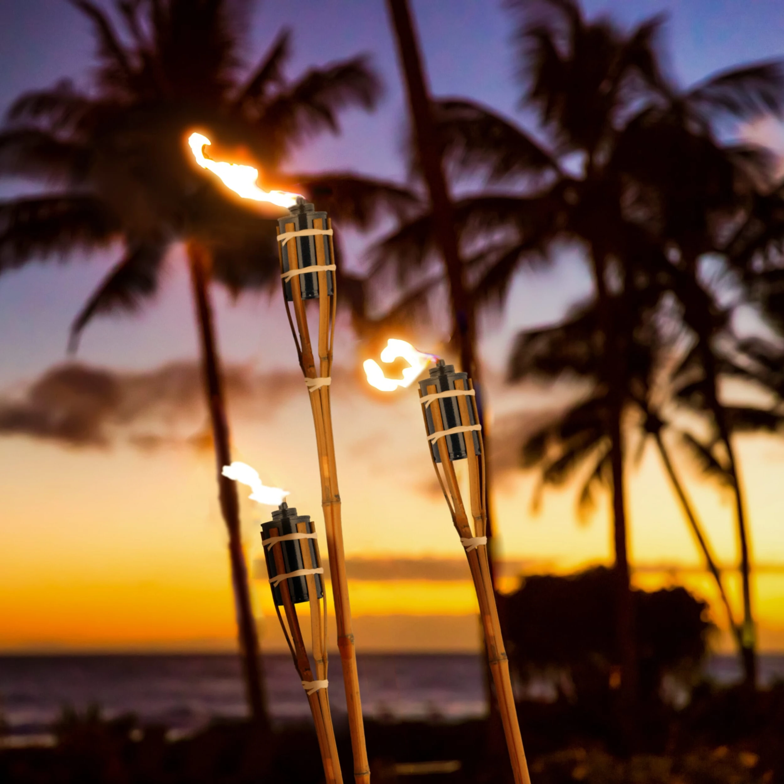 Relaxdays 10 X Gartenfackel In Orange – Bild 3