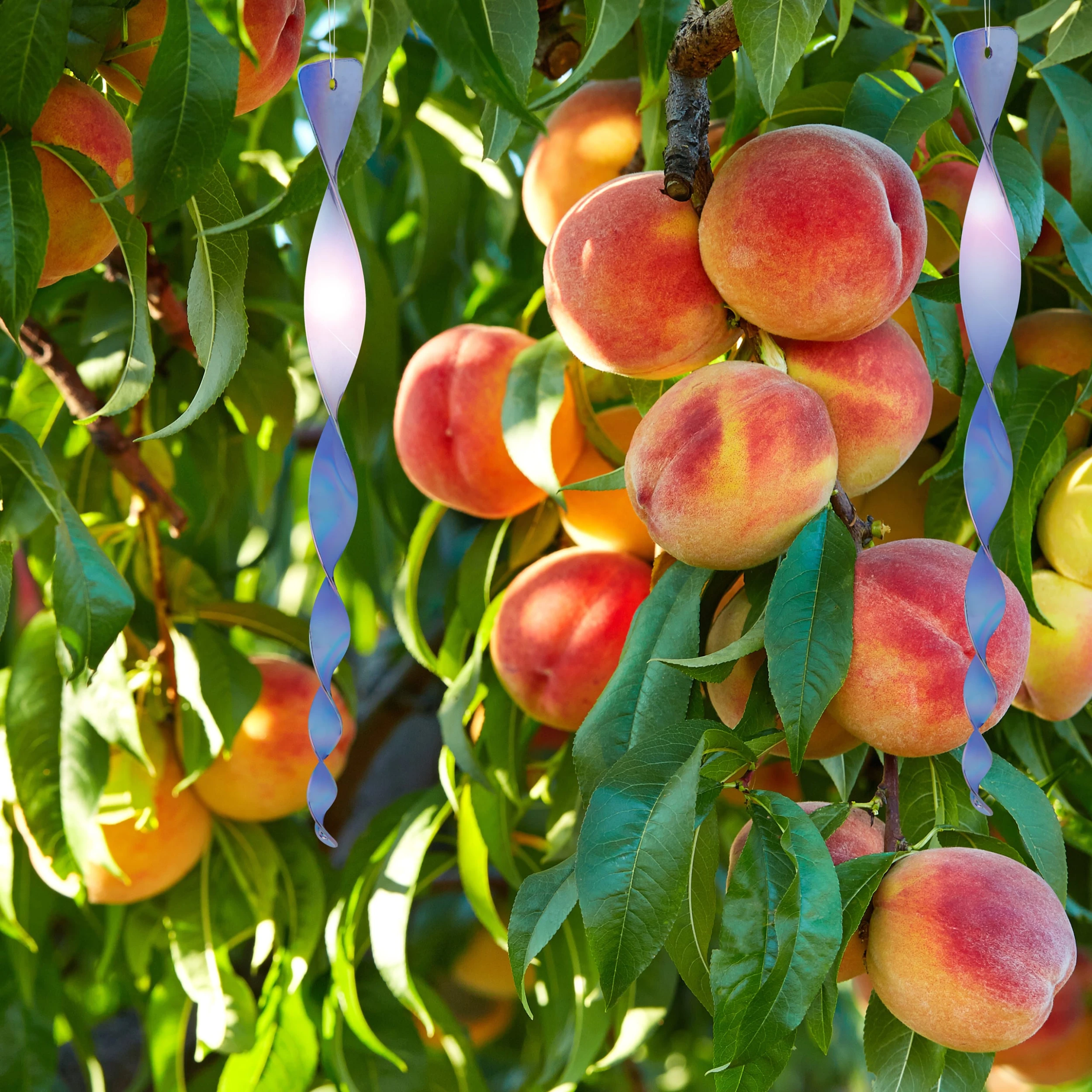 Relaxdays 12er-Set: Vogelabwehrspirale In Grün – Bild 5