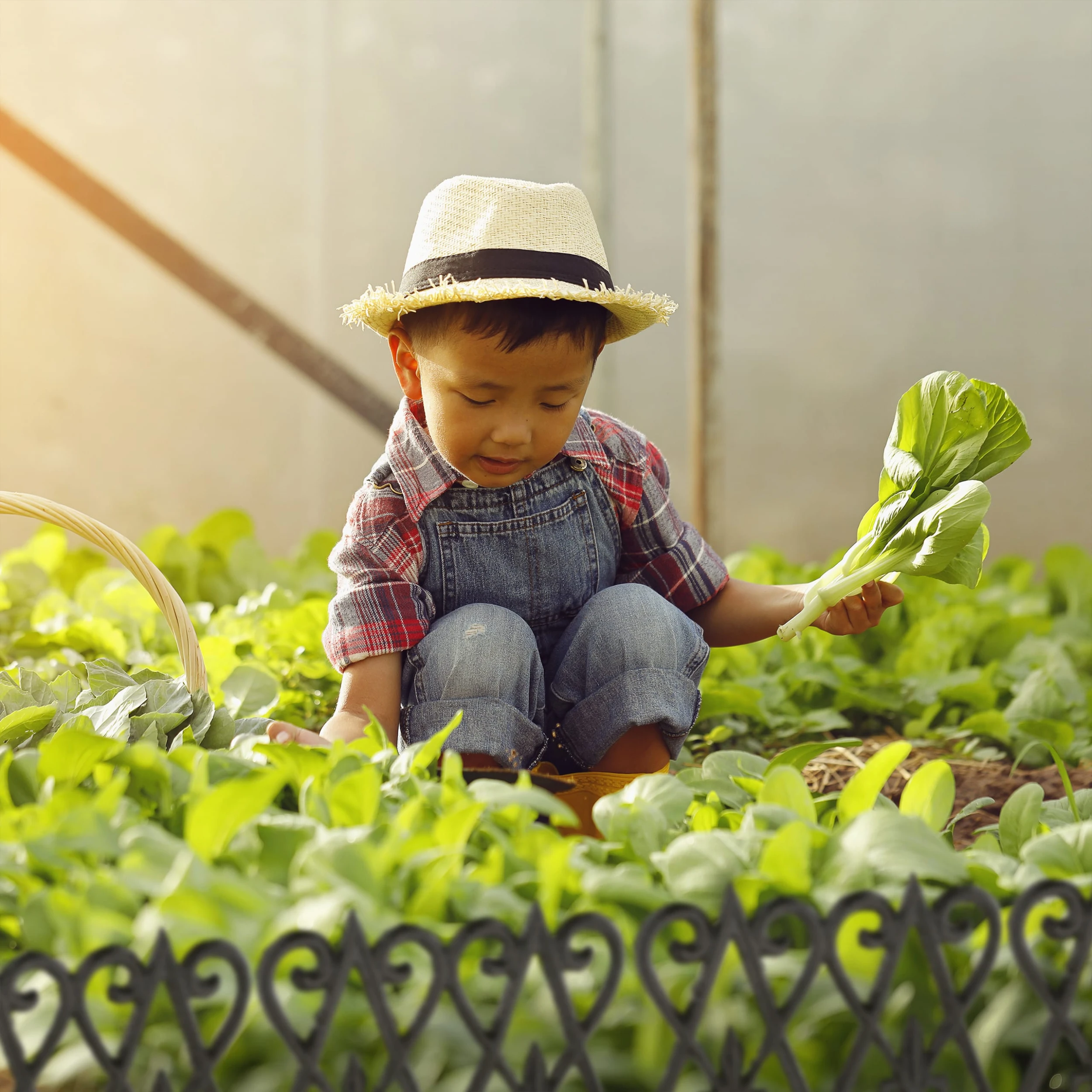 Relaxdays 2 X Beetzaun In Weiß - (B)17,5 X (H)36 Cm – Bild 3