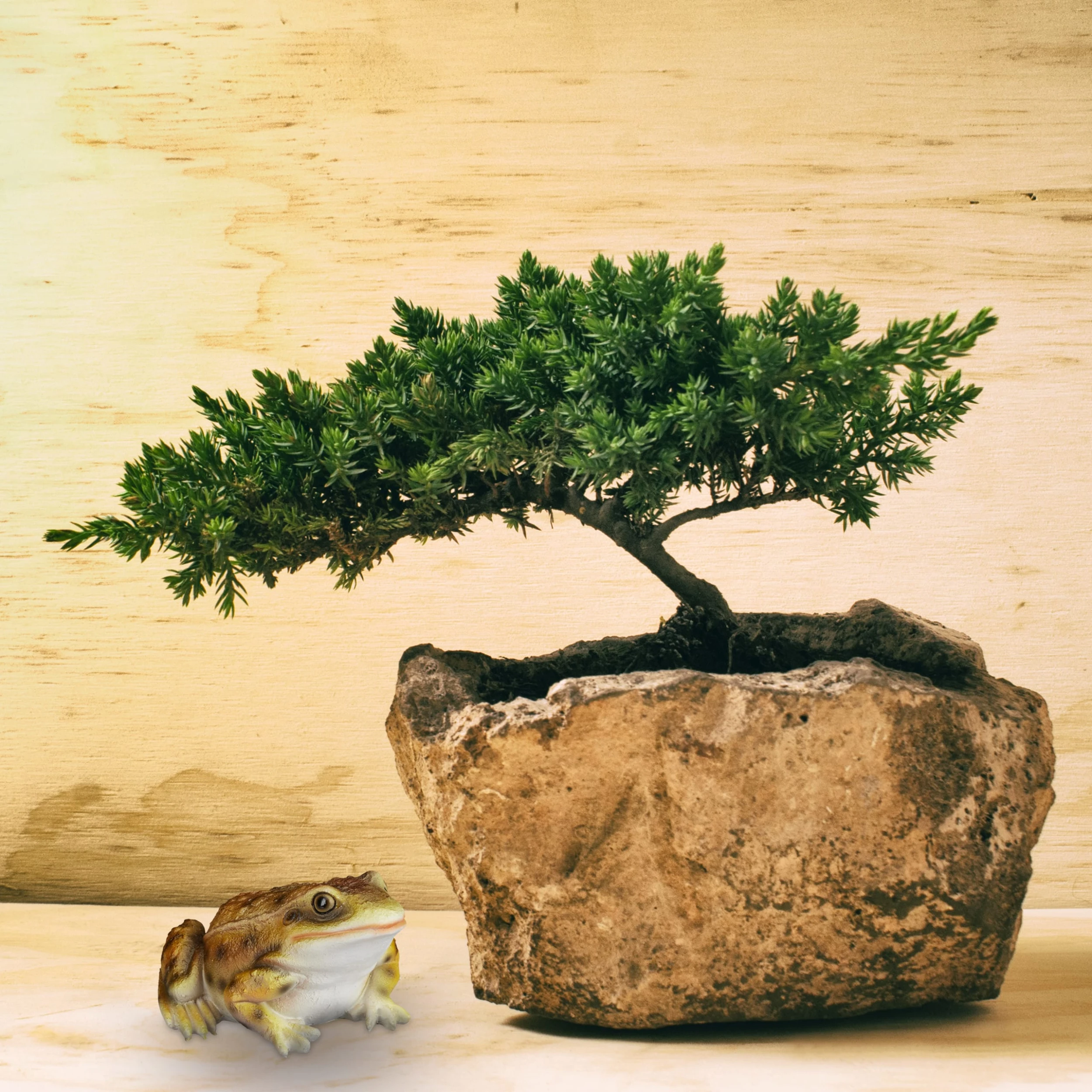 Relaxdays 2x Froschfigur In Gelb – Bild 5