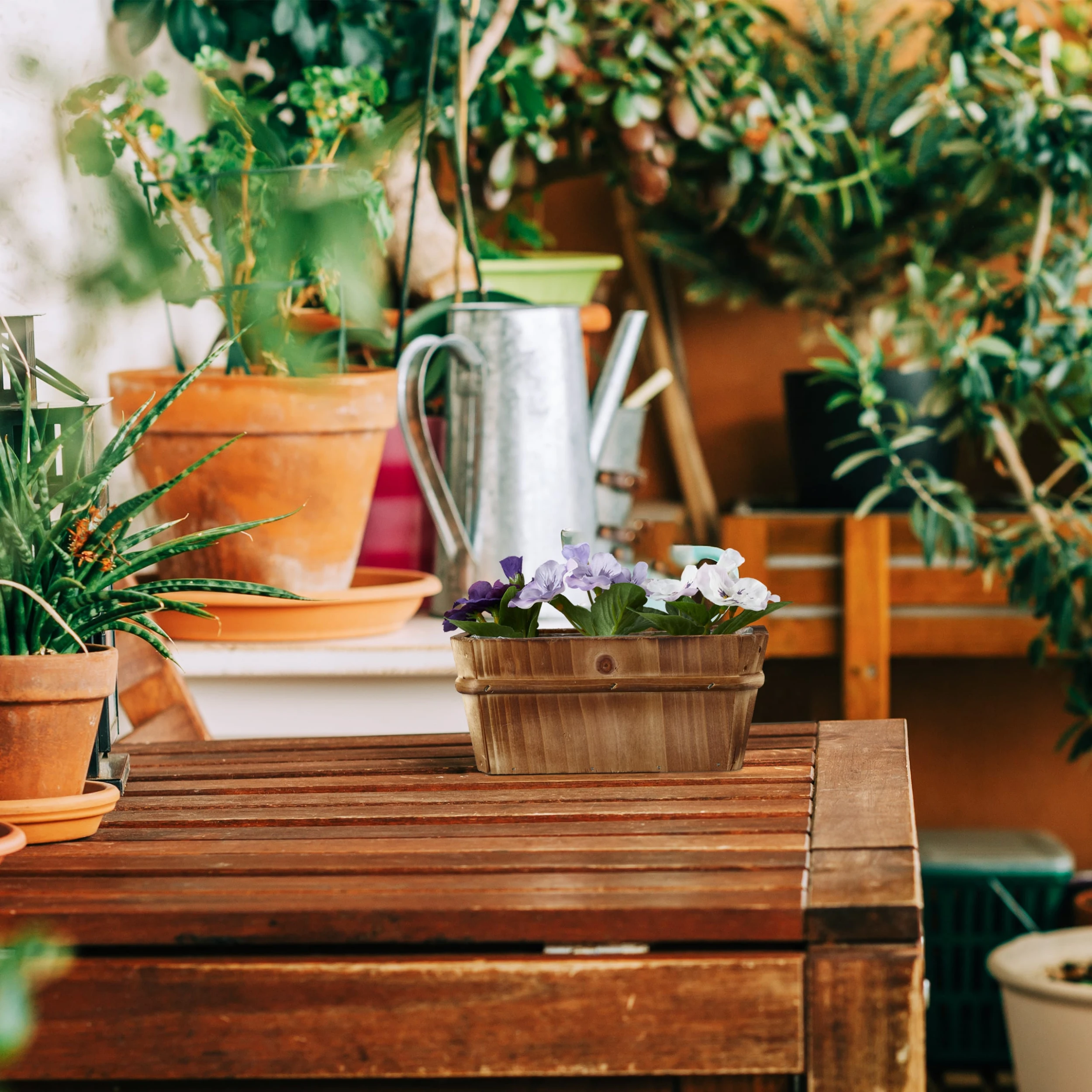 Relaxdays 3 X Blumenkasten In Natur - (B)19,5 X (H)8,5 X (T)11 Cm – Bild 5