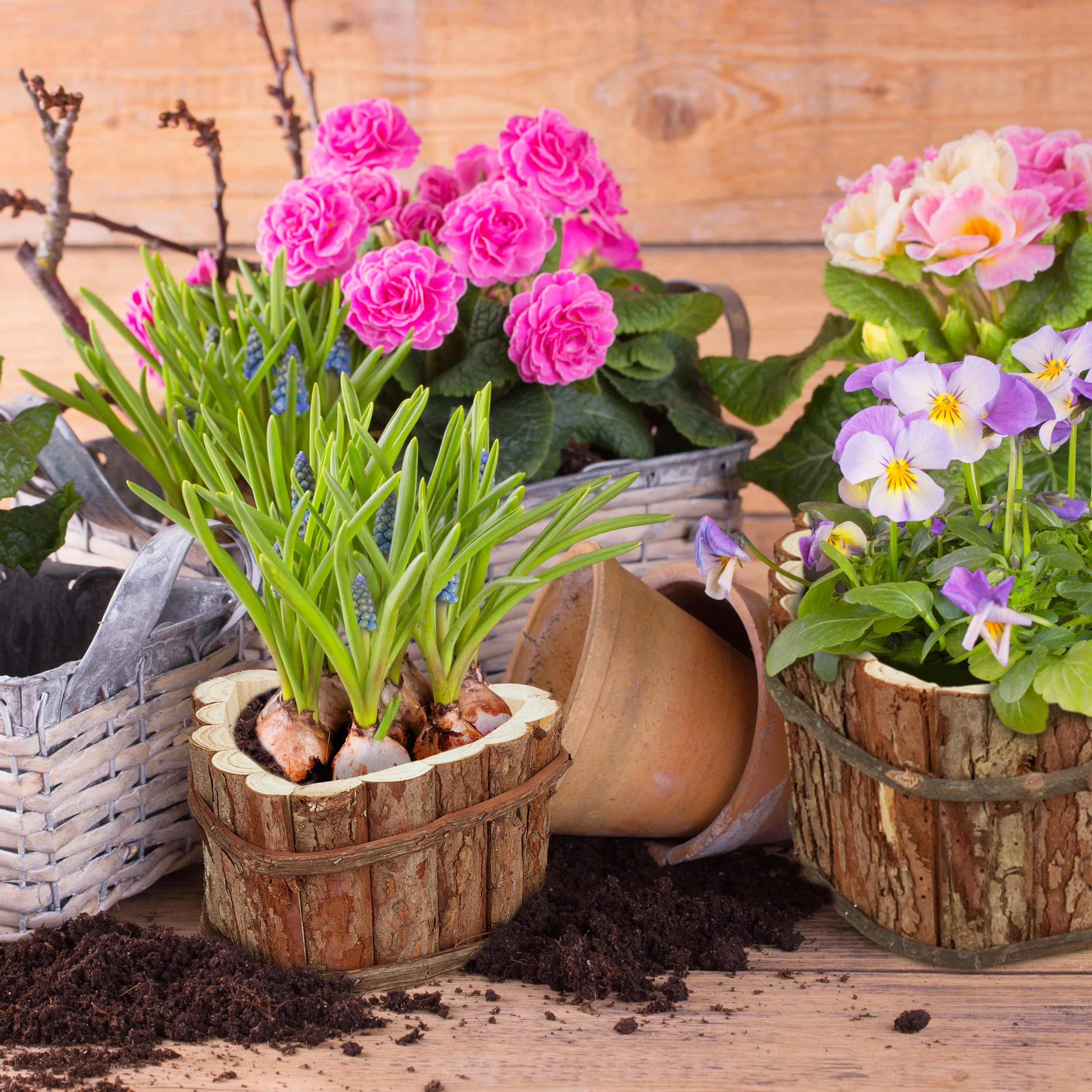 Relaxdays 3tlg. Blumenkasten Set In Natur – Bild 2