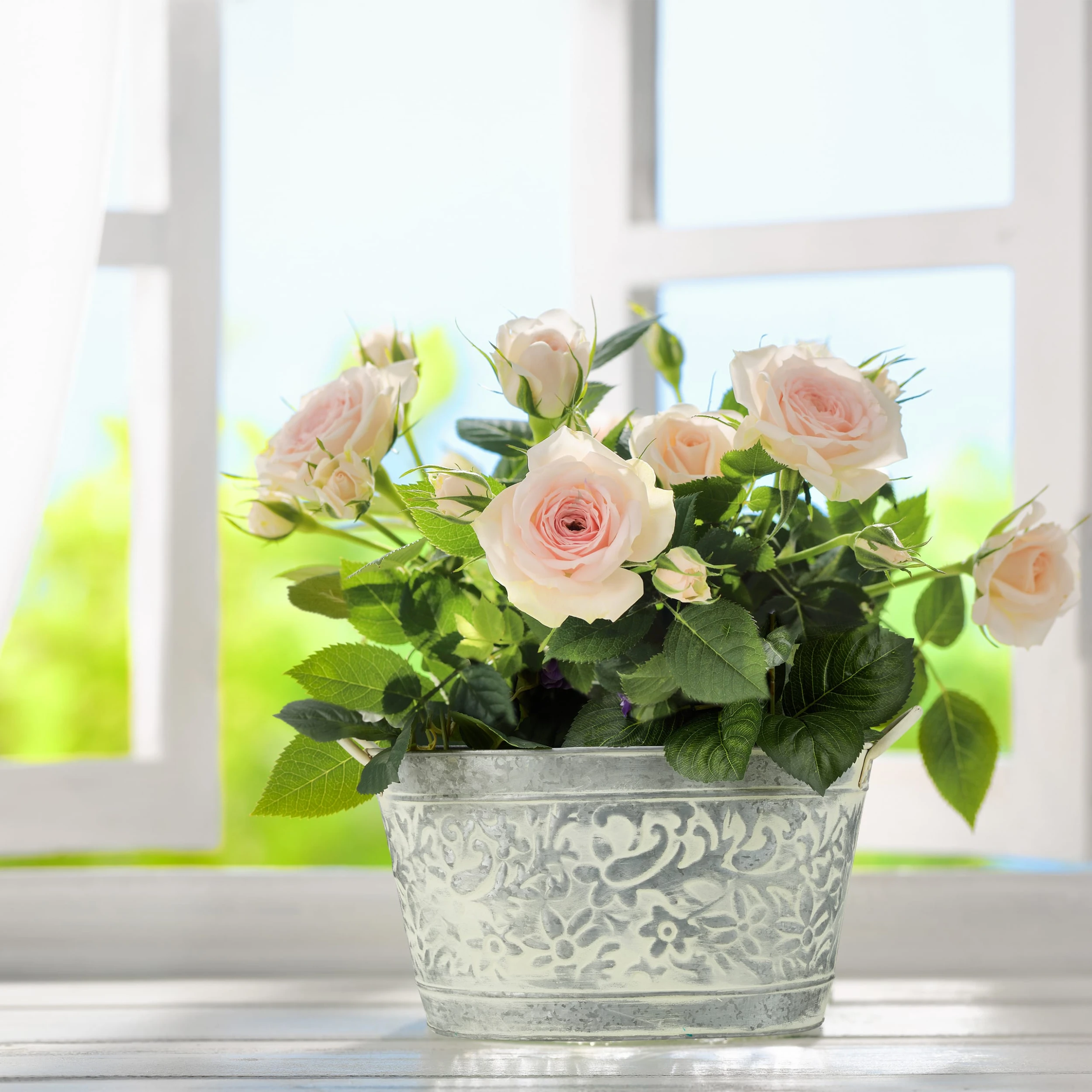 Relaxdays 3x Zinkwanne In Silber – Bild 5