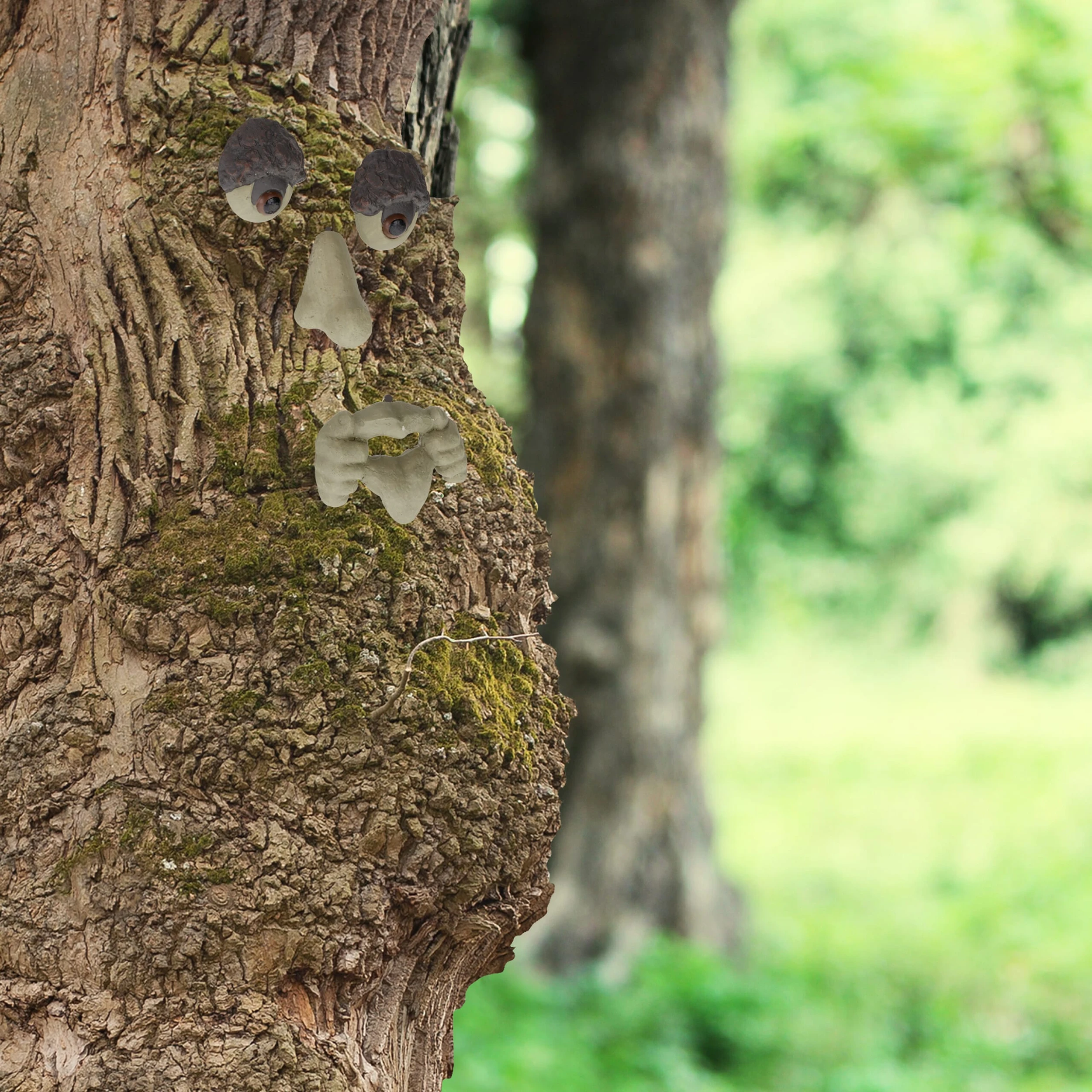 Relaxdays 4-tlg. Baumgesicht In Beige/ Braun – Bild 2