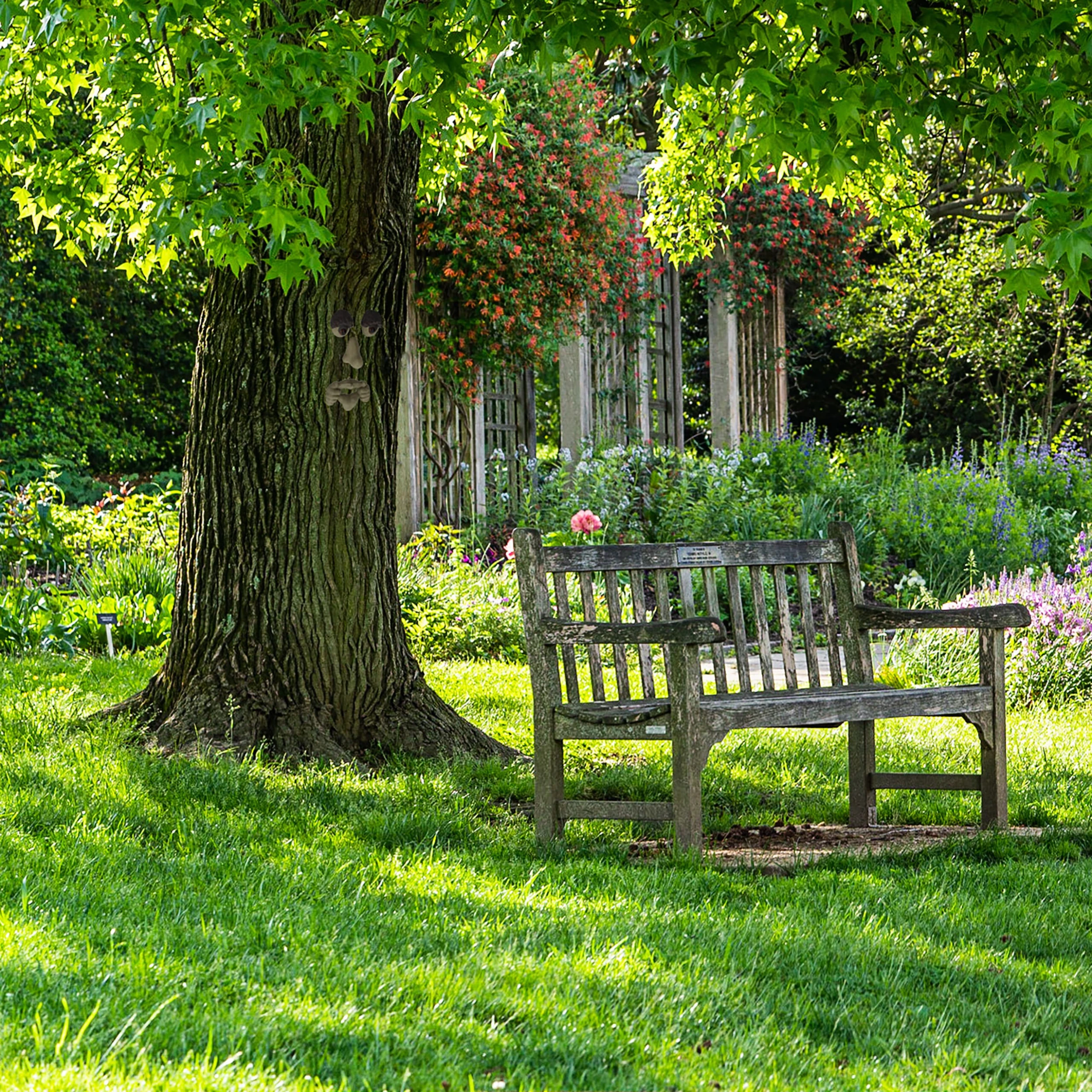 Relaxdays 4-tlg. Baumgesicht In Beige/ Braun – Bild 5