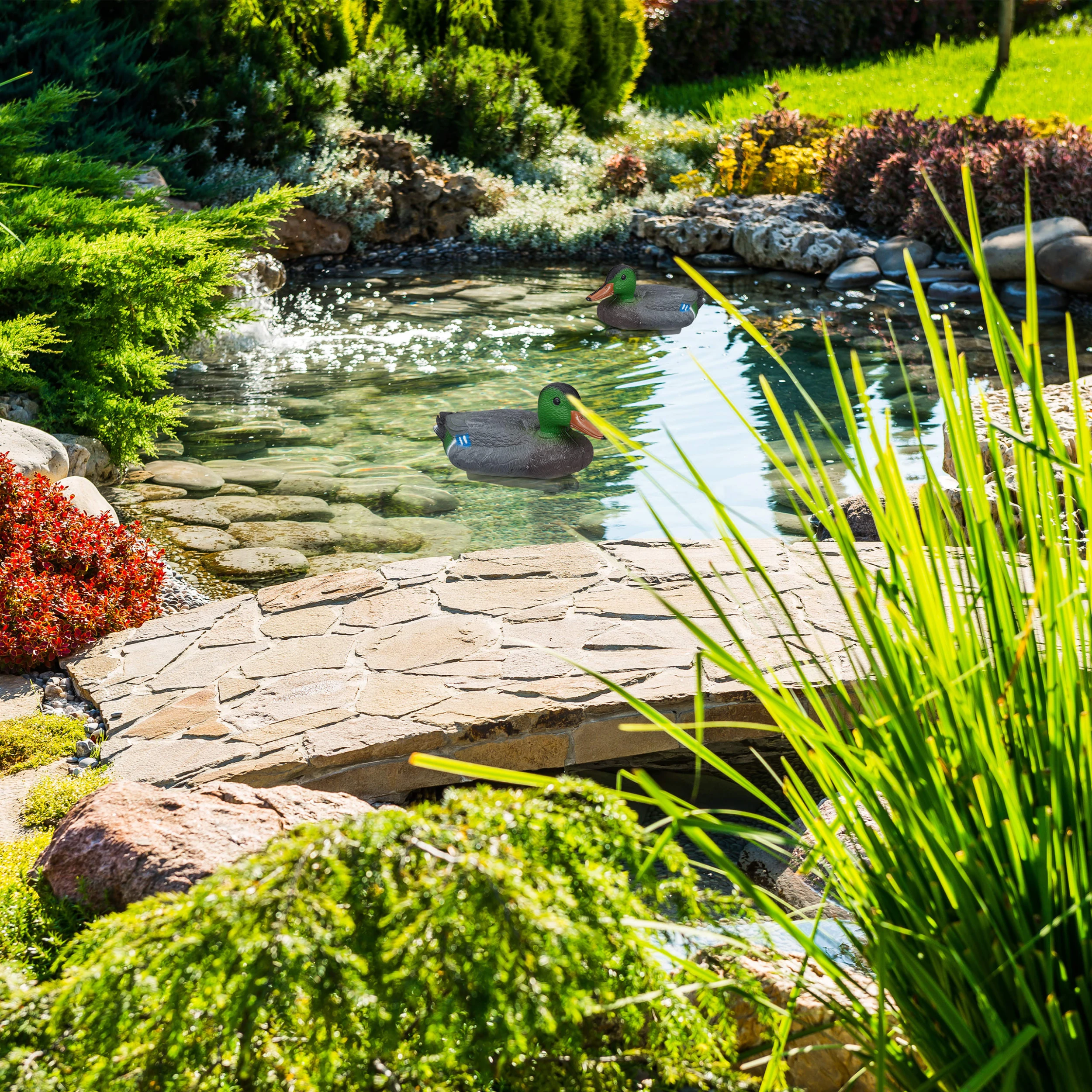 Relaxdays 5x Teichente In Mehrfarbig – Bild 5