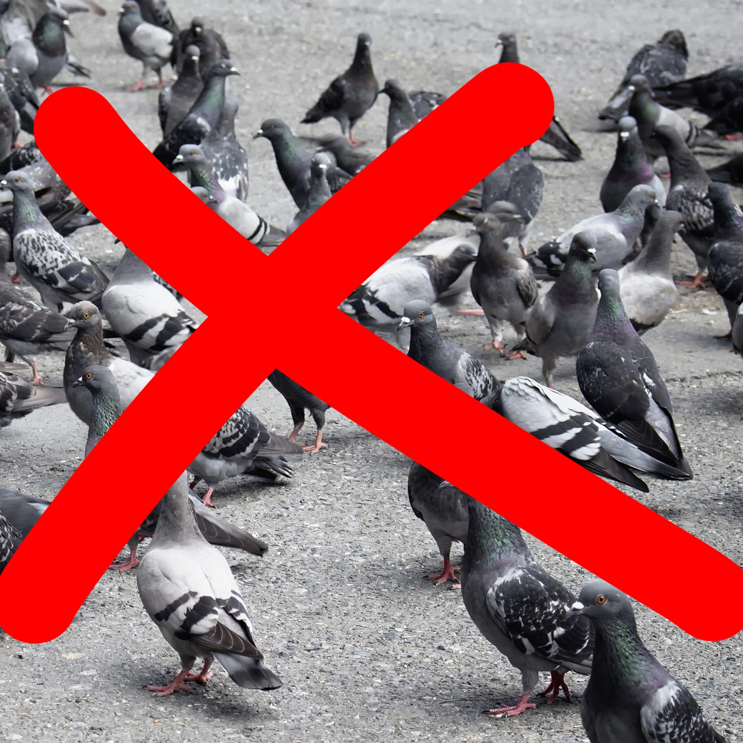 Relaxdays 8x Vogelschreck "Falke" In Grau – Bild 5