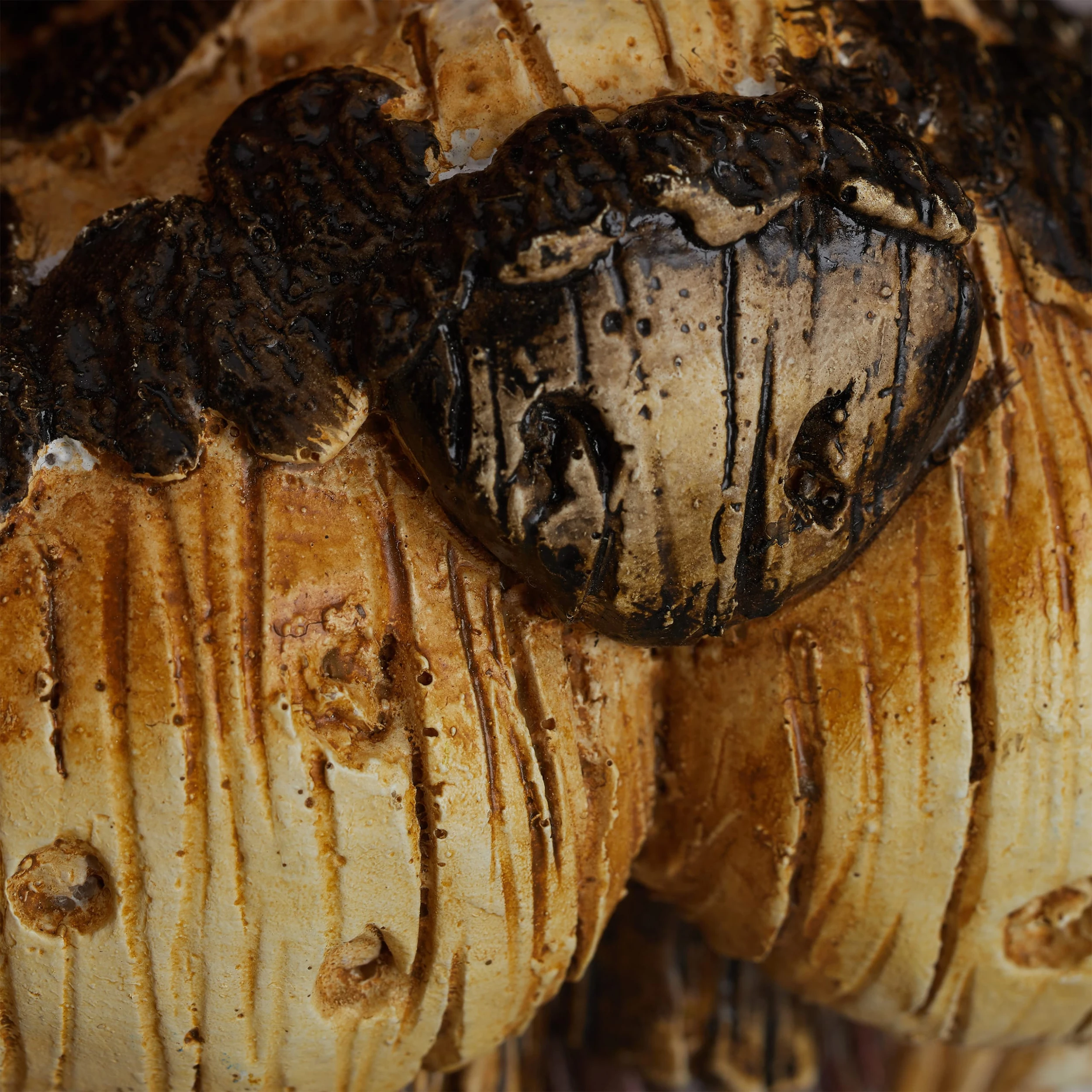 Relaxdays Baumgesicht Hase In Braun/Beige – Bild 7