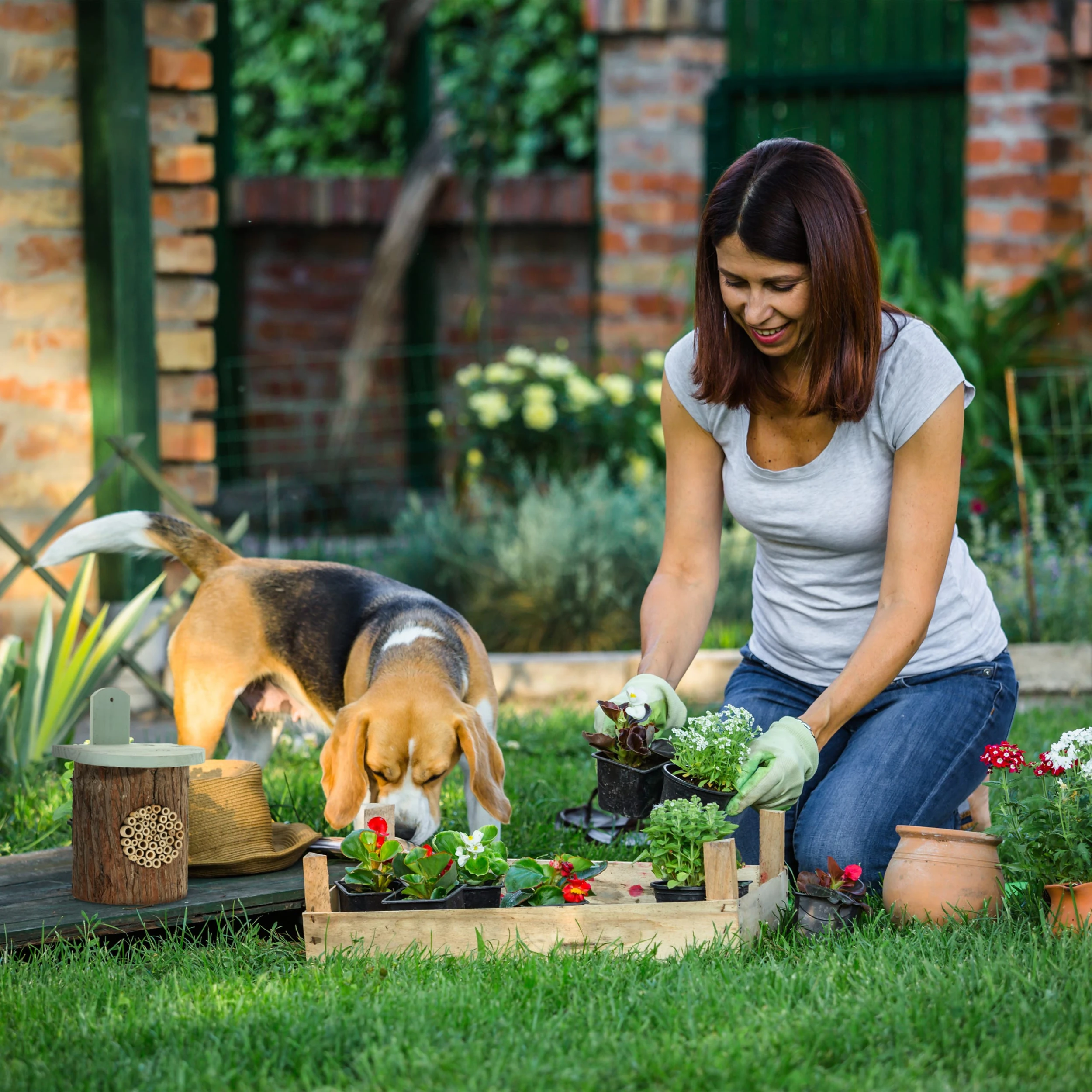 Relaxdays Insektenhotel In Natur/ Grün – Bild 3