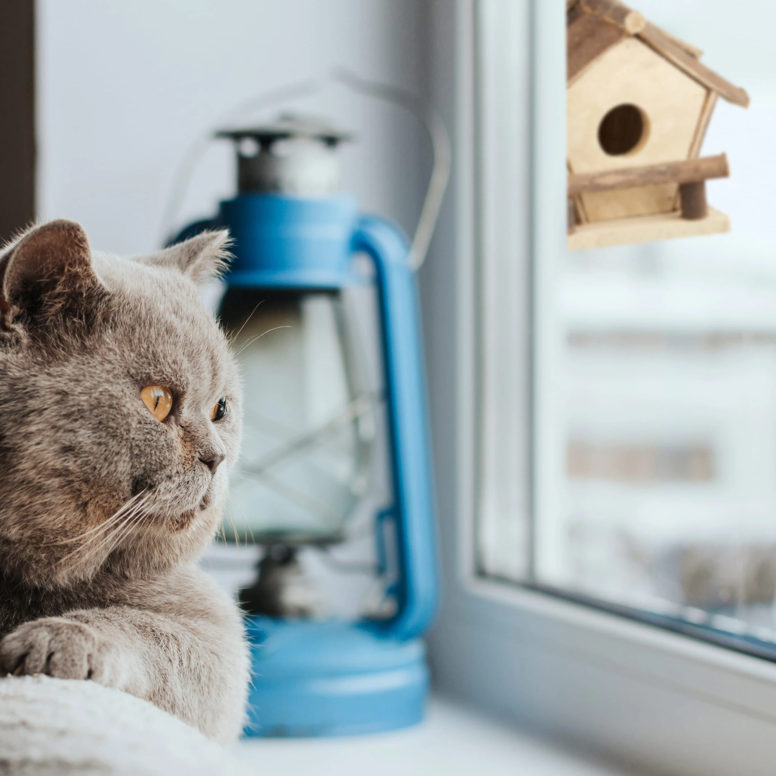 Relaxdays Vogelhaus In Natur – Bild 5