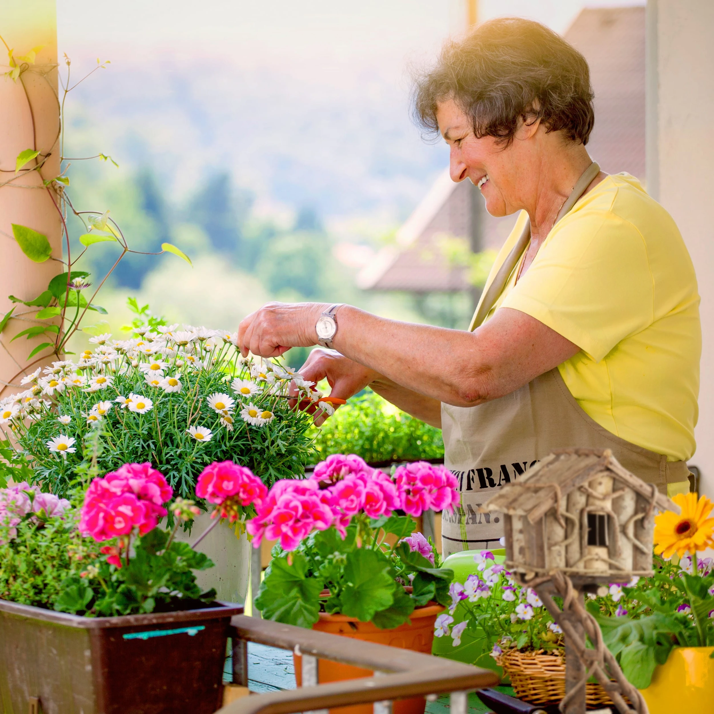 Relaxdays Vogelhaus In Natur – Bild 3