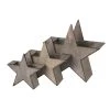UNUS 3er Set Holzstern Zum Bepflanzen In Grau