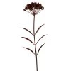 UNUS Rost Metallblume Juna 103 Cm In Braun
