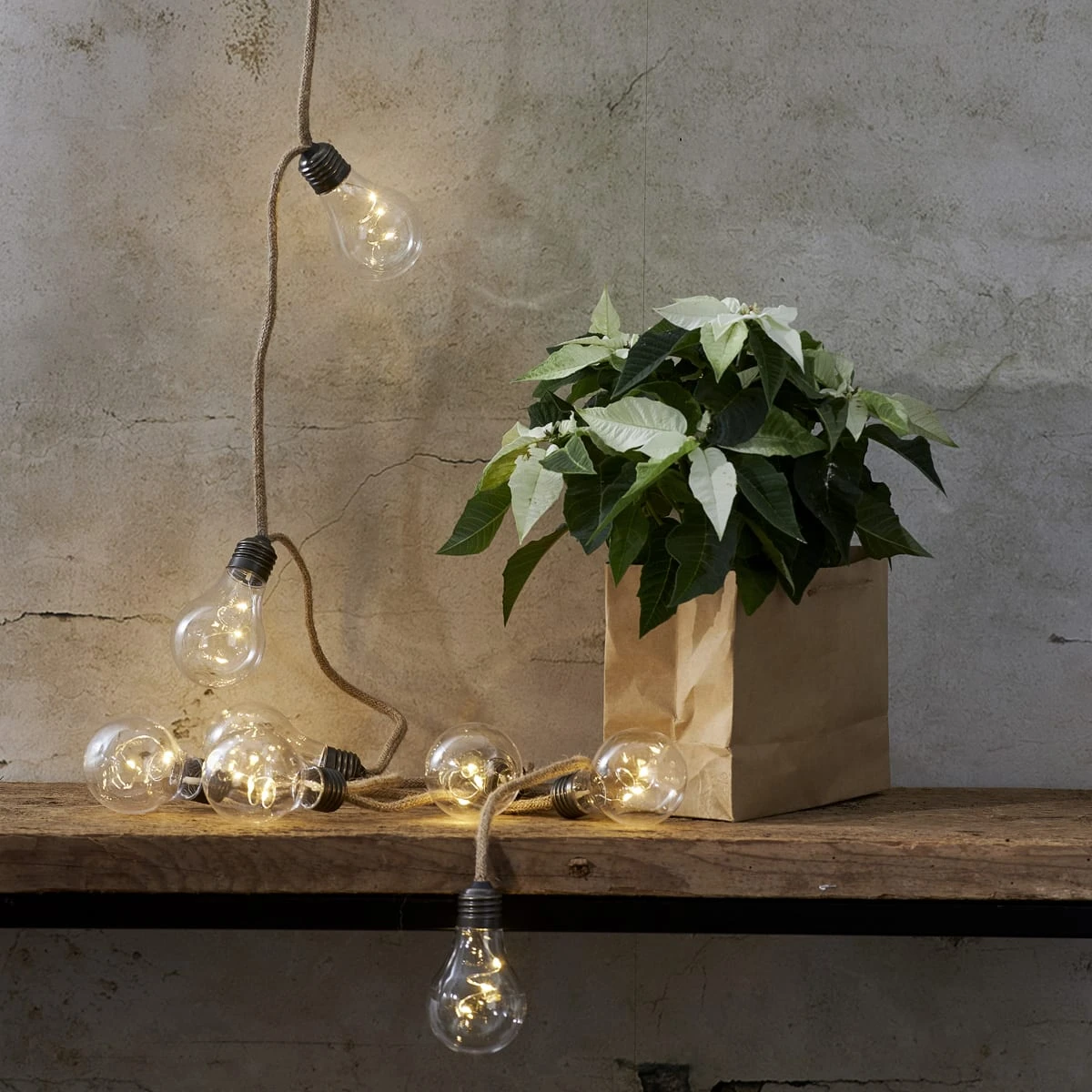 MARELIDA LED Lichterkette Jutta 10 Glühbirnen L: 225cm Batteriebetrieb In Transparent – Bild 2