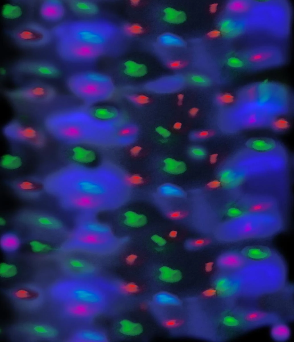 SATISFIRE Disco Lampe MUSIC-PLAY - Bunter Lichteffekt – Bild 2